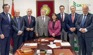 Alfonso Carmona, presidente del Consejo Andaluz de Colegios Médicos