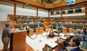 Pleno del Parlamento Vasco.