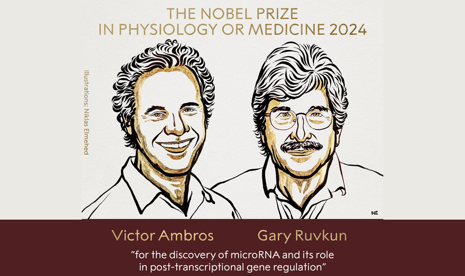 Ambros y Gary Ruvkun, Nobel de Medicina por descubrir el microARN