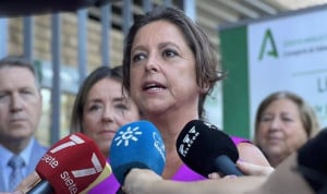 Andalucía aprueba su plan para un SAS "más eficaz" ante la cronicidad