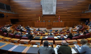 Pleno de Las Cortes de Castilla y León, donde se ha votado la ley de incentivos al médico de Sacyl. 