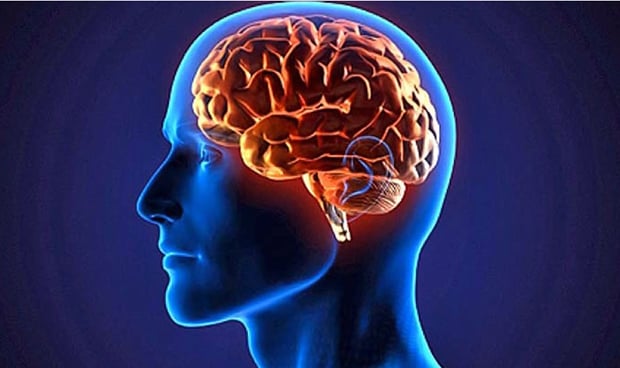 Cinco regiones del cerebro son ms pequeas en las personas con TDAH
