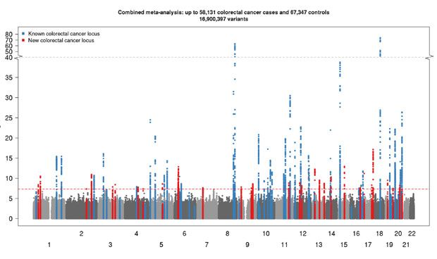 Descubren 40 variantes genéticas que influyen en el cáncer colorrectal