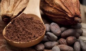 El cacao ayuda a mitigar la pérdida auditiva en edades avanzadas 