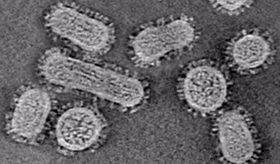 El Centro Nacional de la Gripe ve "normalidad" en el auge de los contagios