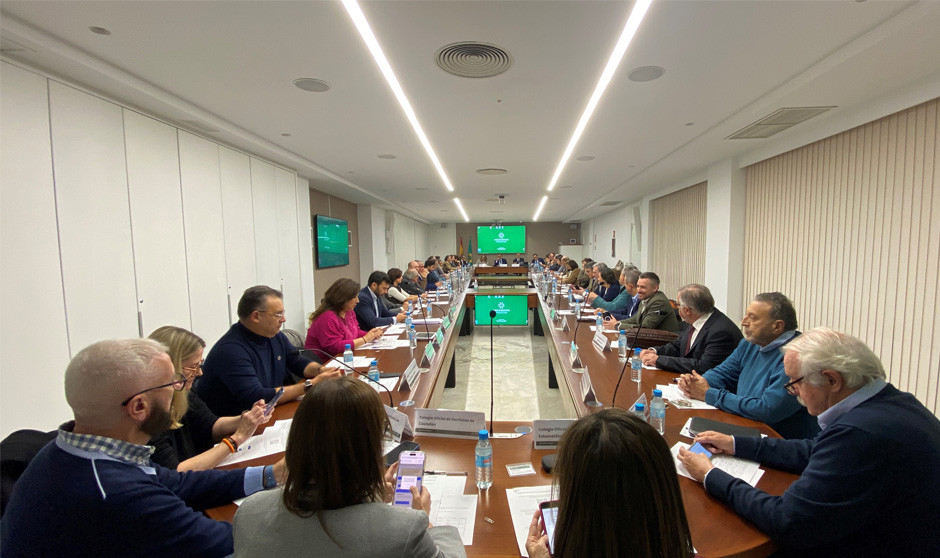 La Asamblea General del Consejo de Dentistas vota el Presupuesto de 2025. 