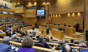 El PSOE confía en financiar la aprobada Ley ELA a través de los PGE 2025