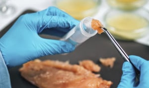 España, entre los países con mayores tasas de listeriosis y salmonela en UE