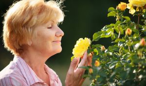 Investigadores conectan el olfato con la detección precoz de alzhéimer