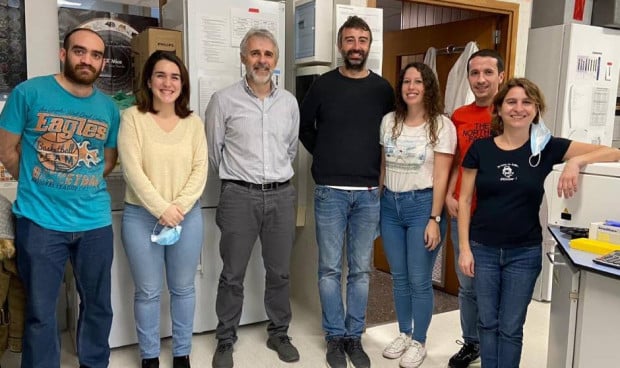 El tratamiento de los tumores de células de la granulosa, un tipo de cáncer ovárico, puede mejorar con la edición genética.