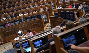 Las comunidades autónomas reaccionan a la toma en consideración de la ILP para establecer ratios mínimas de enfermeras en el sistema sanitario en el Congreso de los Diputados