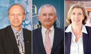 Martinez-Sellés, Merina y Rubio, candidatos definitivos a liderar el Icomem