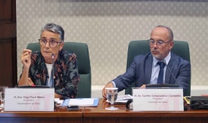 Olga Pané: "Queremos llegar al 7% de financiación del PIB para Salut"