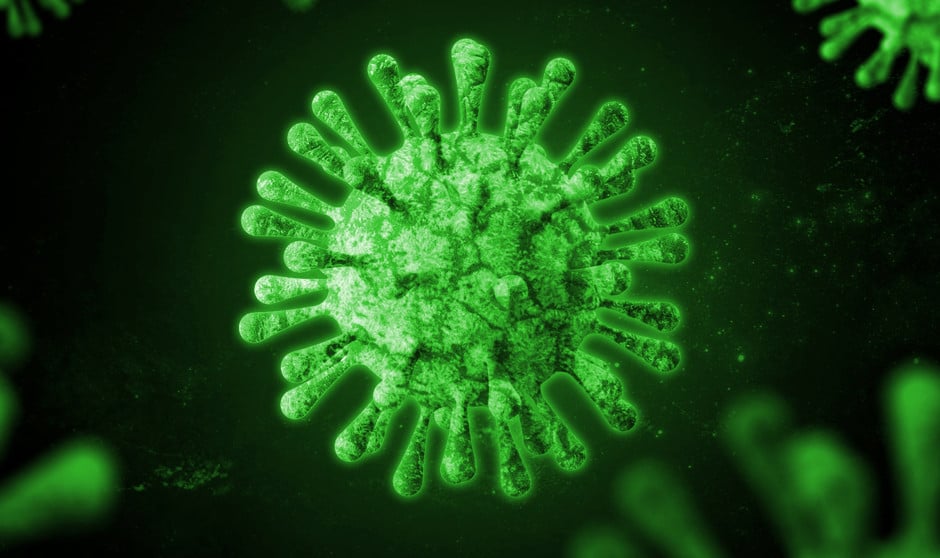 Un estudio científico analiza la respuesta inmunitaria de varios pacientes tras la misma exposición al coronavirus y concluye diferencias reveladoras.