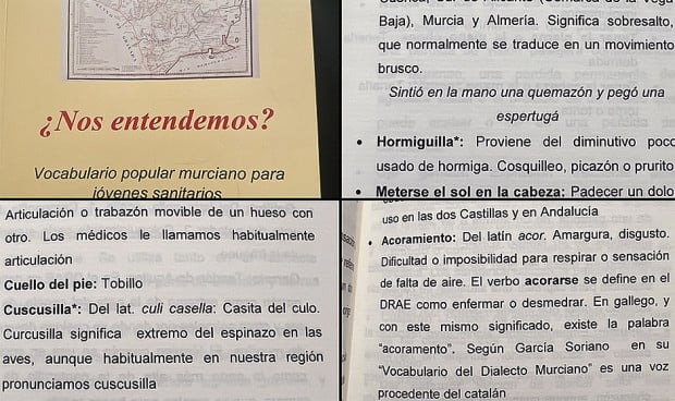 Un libro de expresiones para ser médico forastero en Murcia: "Es puro oro"